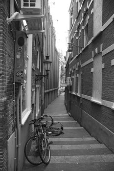 Three cycles in narrow street