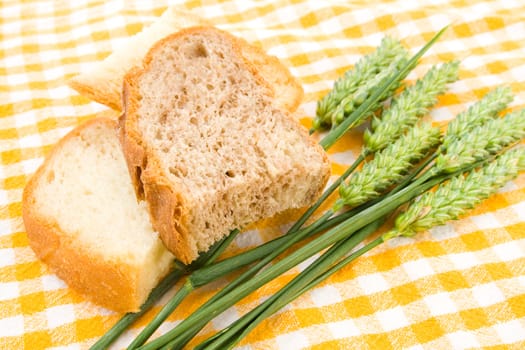 Bread and green wheat on table cover.