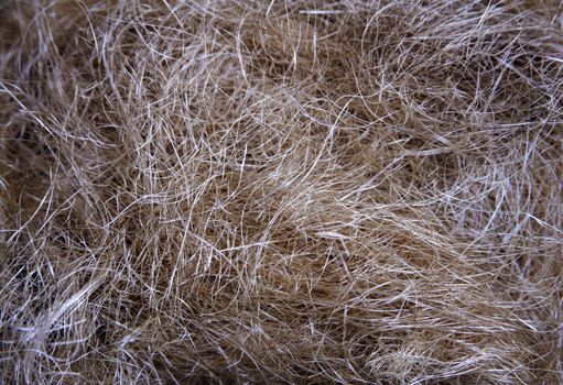 Close up of hay to be used as a background