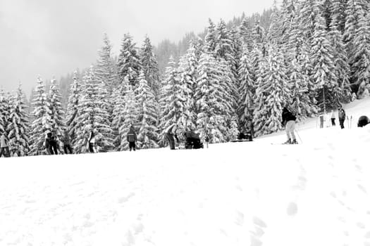 Skiers on mountain slopes, Switzerland.