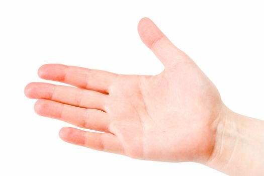 Female hand on a white background