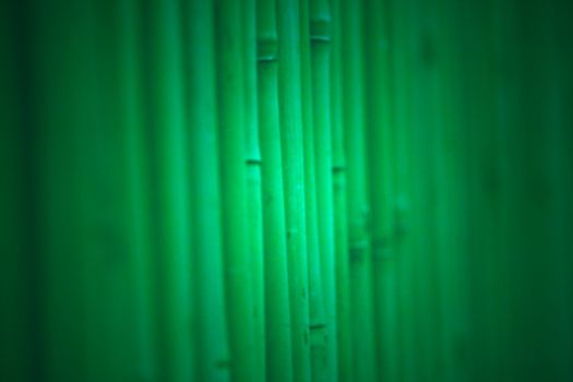 Abstract bamboo background, softened