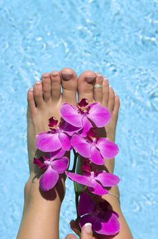 Feet near pool with orchids