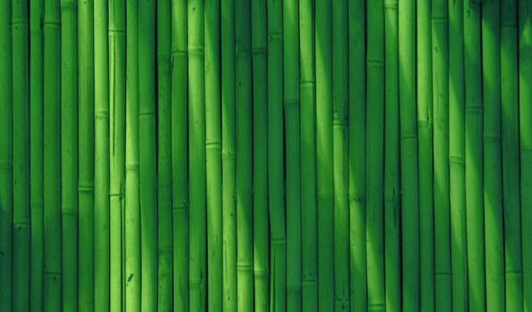 Abstract bamboo background, softened