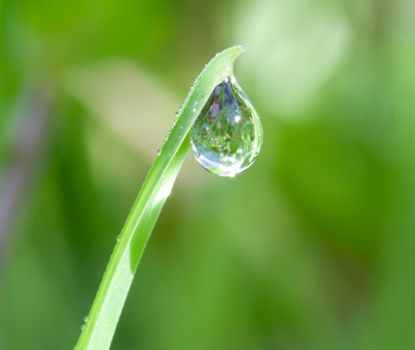 water-drop on blade with meadow reflection , macro shot