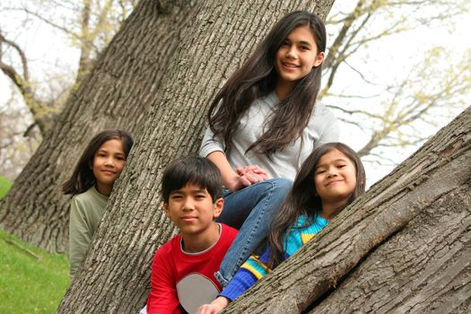 Four children in a tree, brother and sisters