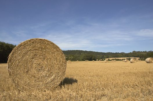 summer landscape with hay bales and deep blue skyscape