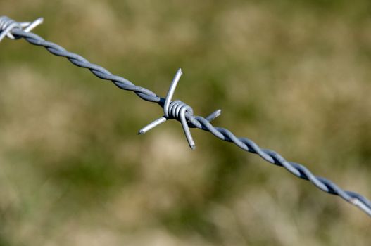 Detail of barbed wire with a green background