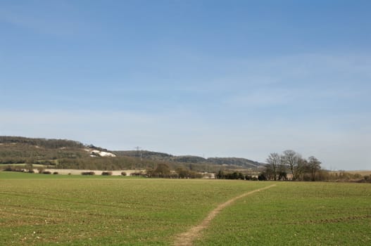 A view of a footpath through a field