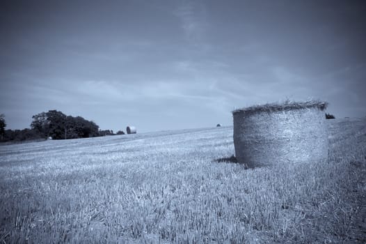 summer landscape with hay bales with a blue tone effect