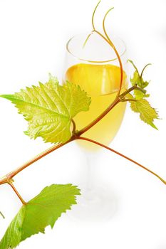 muscat glass of wine with leaves on white