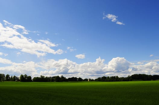 Green field with special light and blue sky