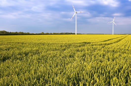 Pure energy - windmills in a wheat field