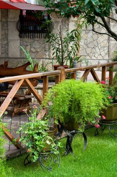empty well decorated open air cafe with lot of beautiful plants