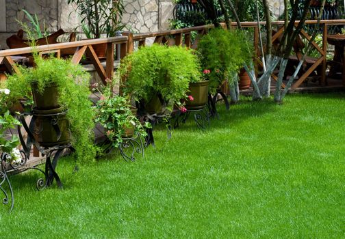 empty well decorated open air cafe with lot of beautiful plants