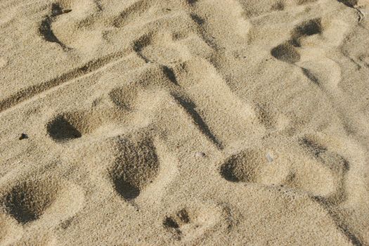 Footprints on the sandy beach after rain.