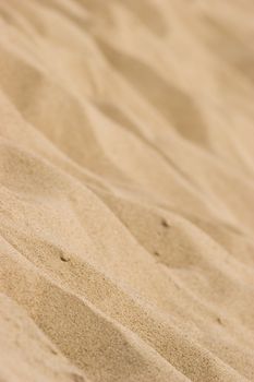 A closeup of sand on a sunny beach. Foreground is in focus and backgroun is bluried for copy space or design elements
