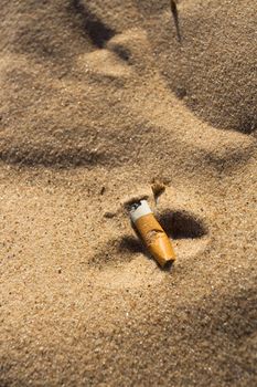 Cigarette butt in sand. Litter on the beach