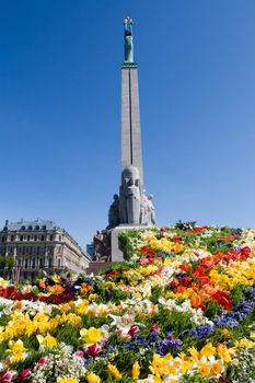 Monument of freedom in Riga, Latvia in background. In front fragment of map of country made from flowers made in honour of celebration of independence day