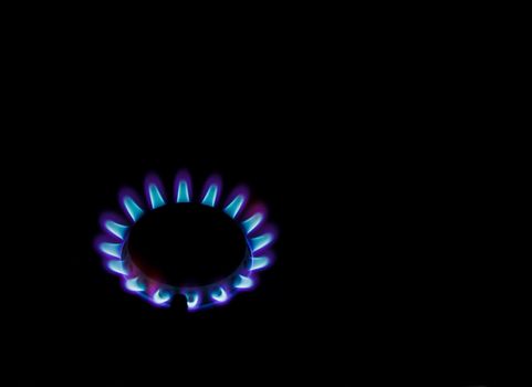 Burning ring flames of gas stove on black background.