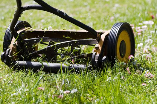 Hand lawn mower close up in meadow with daisies