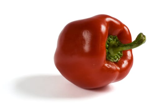 Sweet red bell pepper (Capsicum annuum) with shadow on white background. Clipping path included