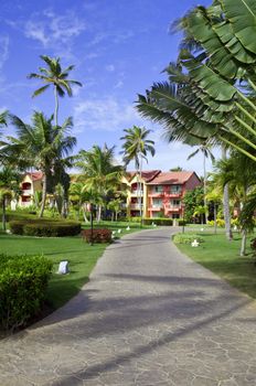 Palm trees surrounding a tropical resort in Dominican Republic.