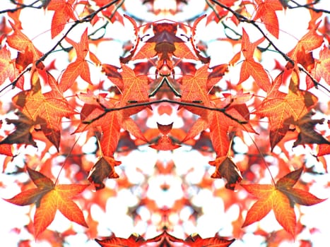 nice and cold autumn landscape