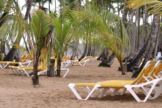 chaise longues on the beach by hotel