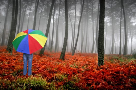 nice and cold autumn landscape