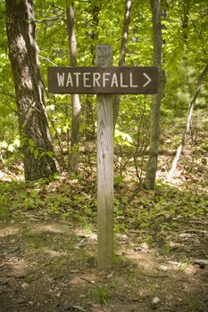 A sign post pointing to the direction of a waterfall.  Easily remove the text and make this sign say whatever you need.