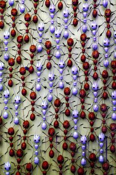 Modern abstract colorful background with metal ants.