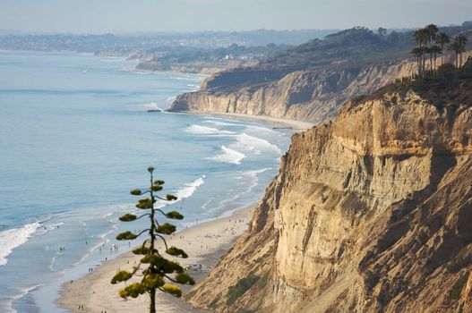 Torrey Pines Beach and Coast of San Diego, California