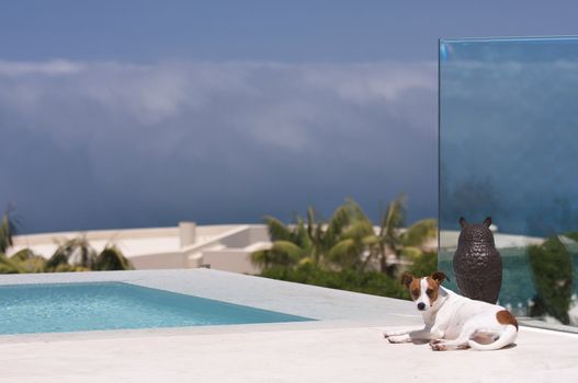 JRT on Storm Watch from Poolside as the Clouds Move In.