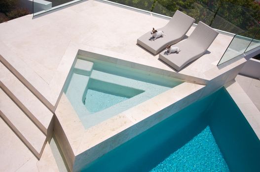 Custom Luxury Pool and Chairs Abstract with two JRTs relaxing.