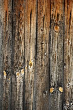 Full screen high resolution shot of wood.
Good for a texture or a background