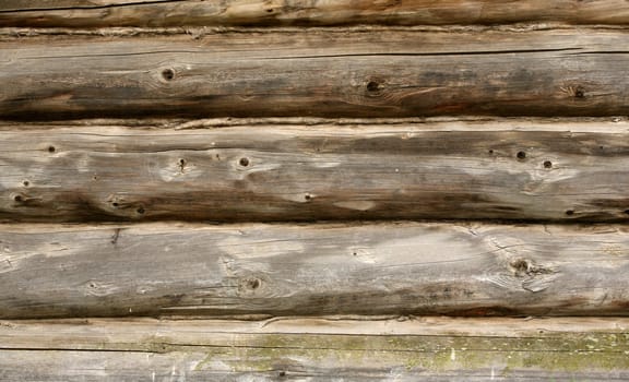 Full screen high resolution shot of wood.