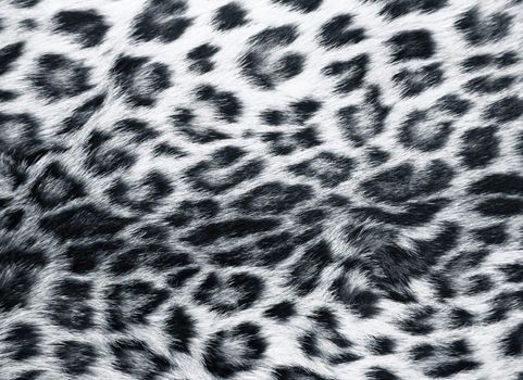 Full screen high resolution shot of a skin of the leopard. Good for a texture or a background
