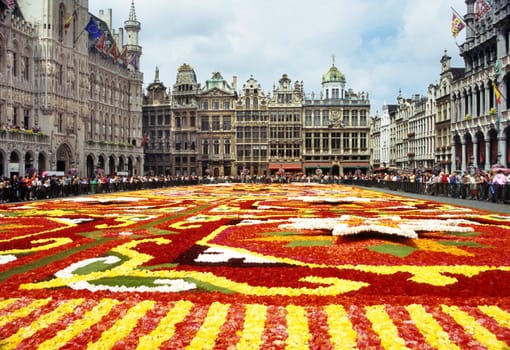 The Brussels flower carpet is designed of Begonias every second year in the central square - Grand Place. The 2006 theme was the kaleidoscope.