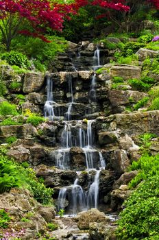 Cascading waterfall in japanese garden in springtime