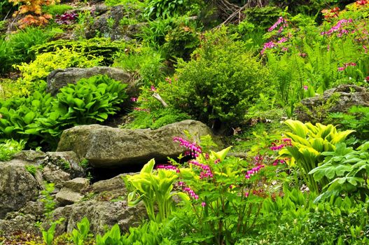 Rock garden with various plants and flowers