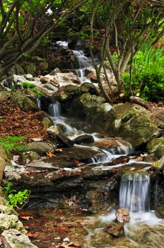 Creek with small waterfalls in japanese zen garden