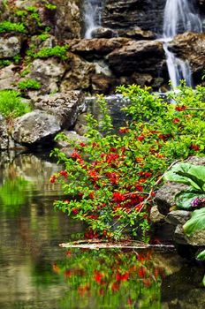 Cascading waterfall and pond in japanese garden