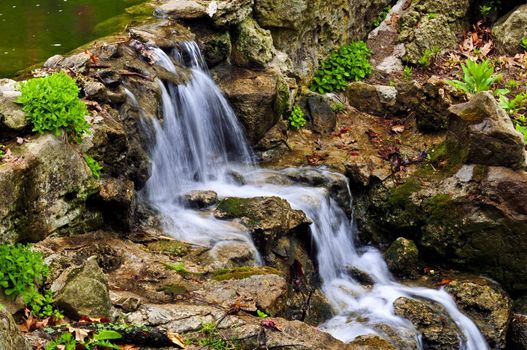 Cascading waterfall in japanese garden in springtime