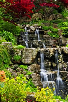 Cascading waterfall in japanese garden in springtime