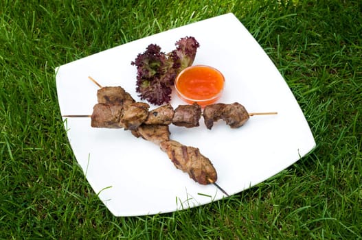 dish of fresh kebabs on sticks with hot sauce, on green grass