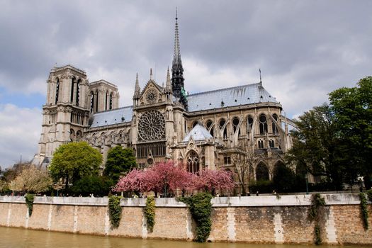 Notre Dame de Paris in spring time. View across the Seine River, France