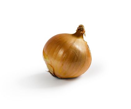 Isolated onion with shadow on white background. Clipping path included to remove object shadow or replace background.