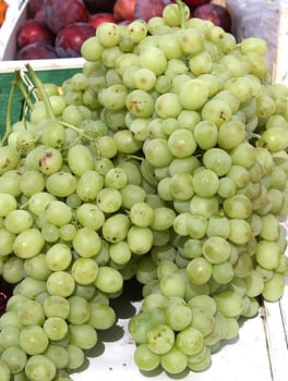 Bunch of green grapes on display in open-air market in Spain.