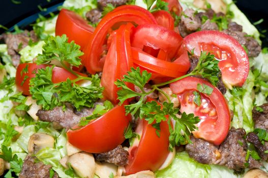 fresh vegetables and roasted meat salad, juicy and tasty 